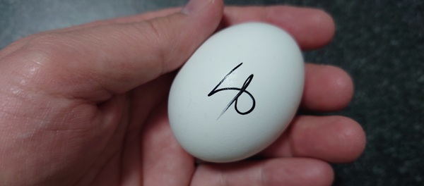 ゆで卵の写真。たまごには「ゆ」と書かれている。