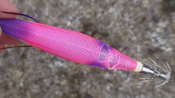 イカにかまれた跡のついたエギ王Kムラムラチェリー