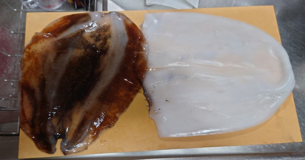 アオリイカの胴身。エンペラ部分と胴の部分に分けられている。