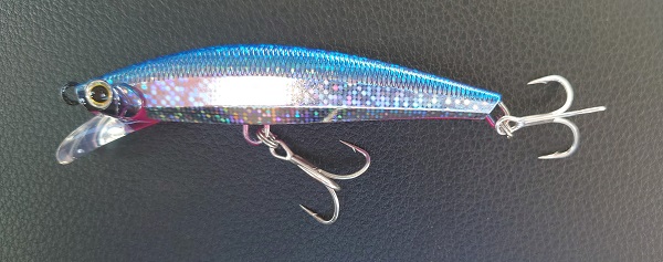 ジャクソンの「ピンテールサゴシチューン」の写真