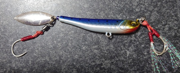 必須の私物のマキッパ(イワシカラー)の写真