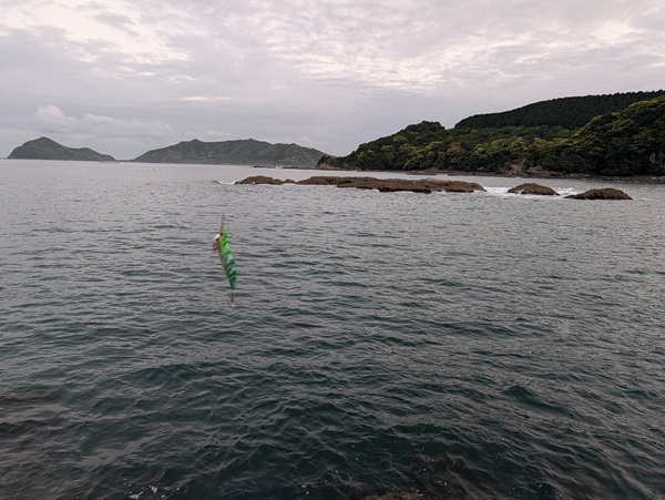 海とエギ。エギはエギ王Kメラメラパロット