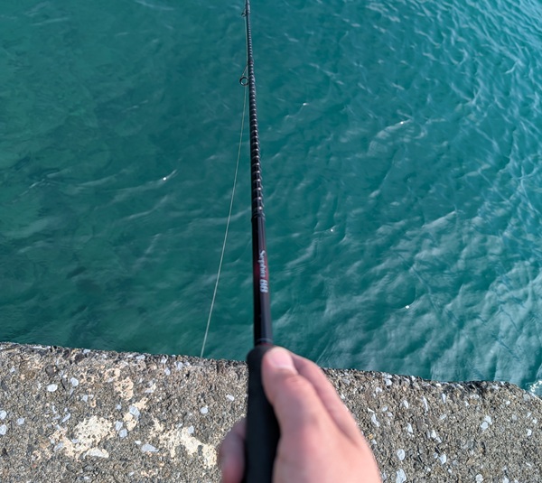 海面と手に持った竿