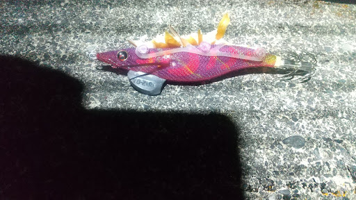 ささみを括り付けたエギ