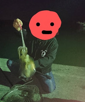 過去釣果写真。アオリイカを持つK8