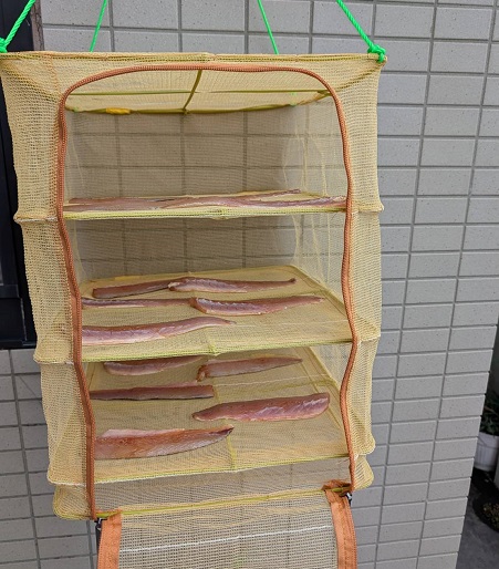 魚干し網に干されたカマス